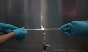 Projektarbeiter am Fraunhofer IISB